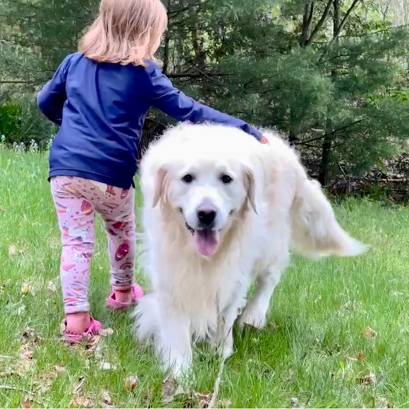 Meet your Posher - Picture 1 of 1